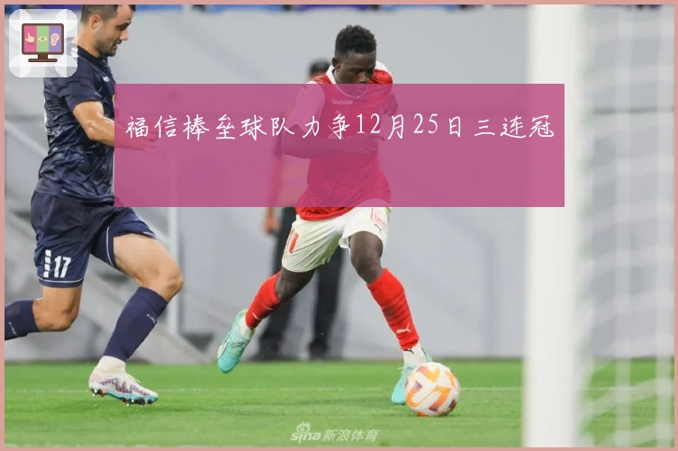 福信棒垒球队力争12月25日三连冠