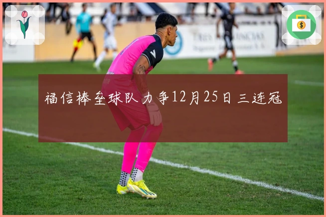 福信棒垒球队力争12月25日三连冠